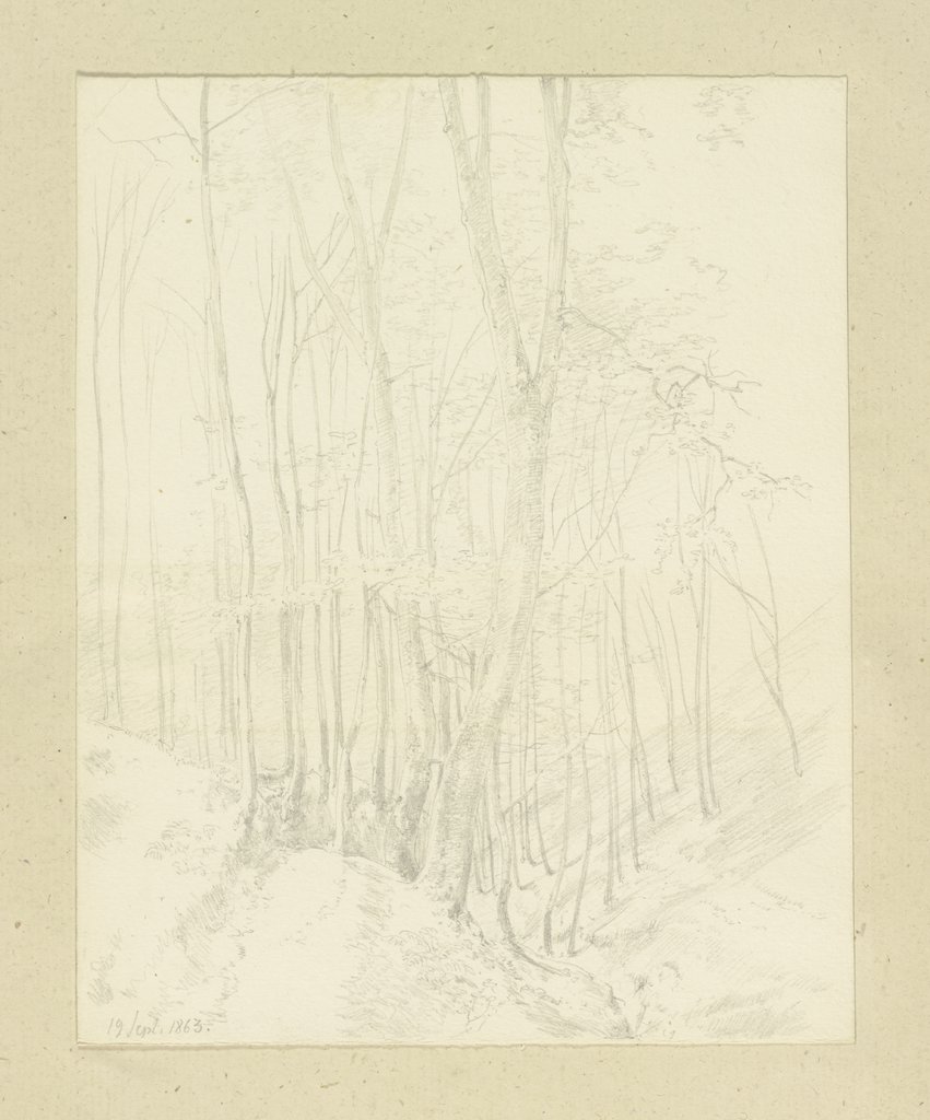 Waldstück in einer Talsohle, Carl Theodor Reiffenstein