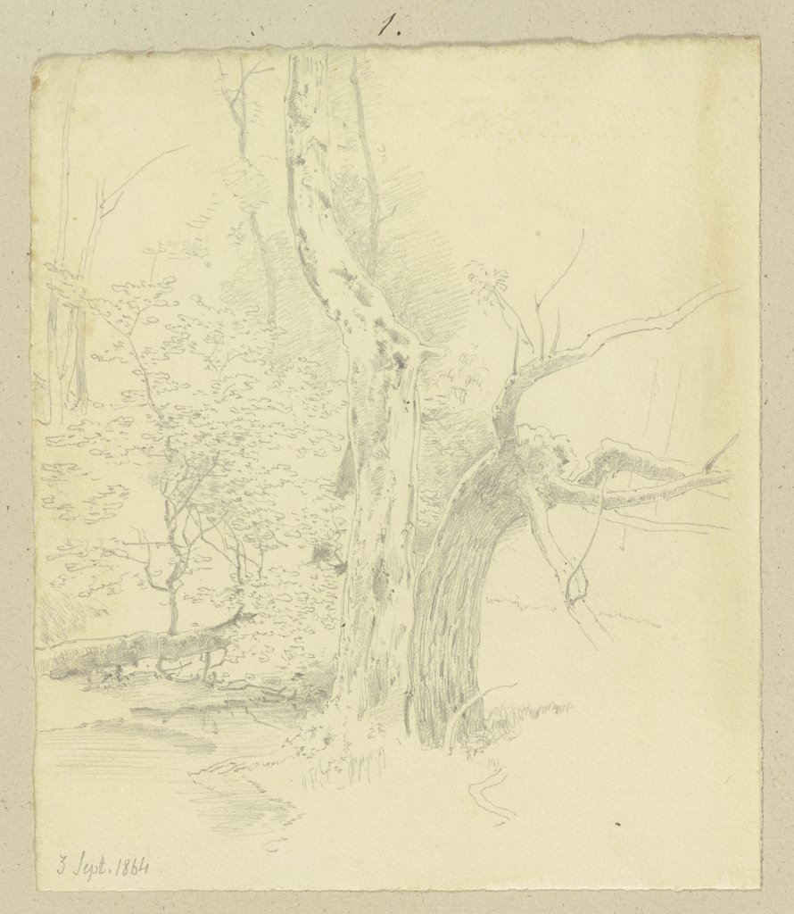 Trees at a stream, Carl Theodor Reiffenstein