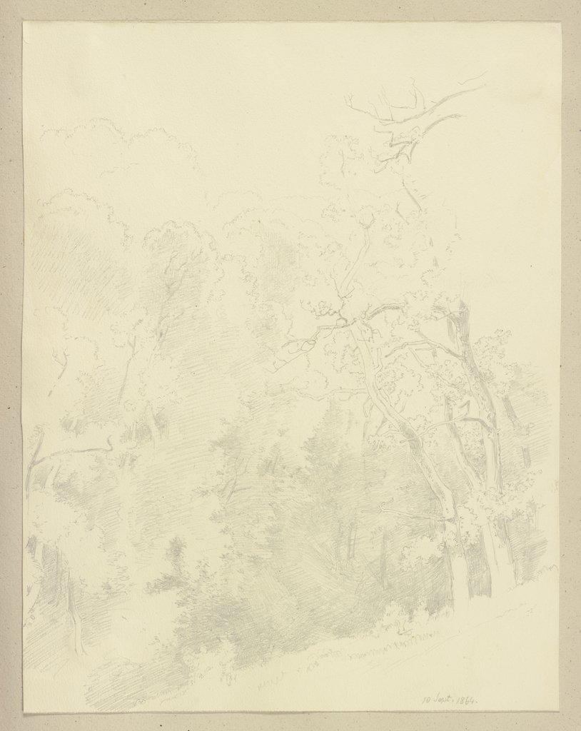 Waldstück, Carl Theodor Reiffenstein
