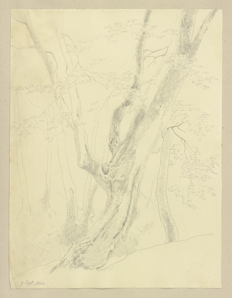 Baumgruppe, Carl Theodor Reiffenstein