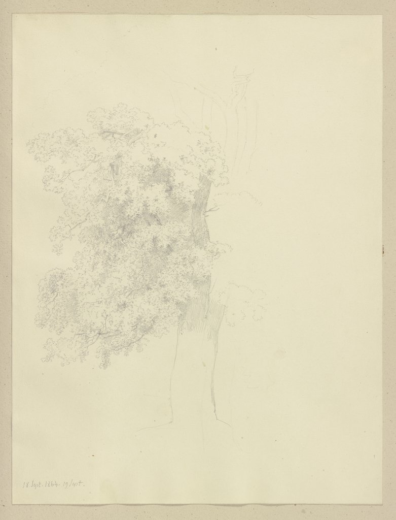 Großer Baum, Carl Theodor Reiffenstein