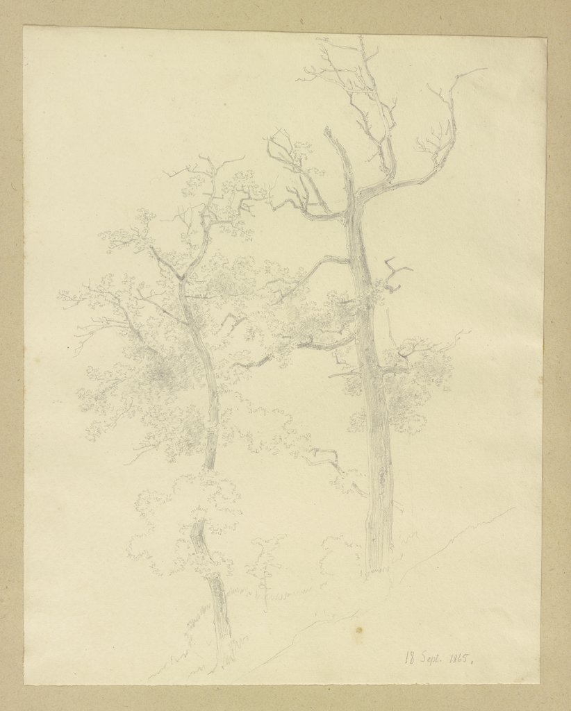 Zwei an einem Hang stehende Bäume, Carl Theodor Reiffenstein