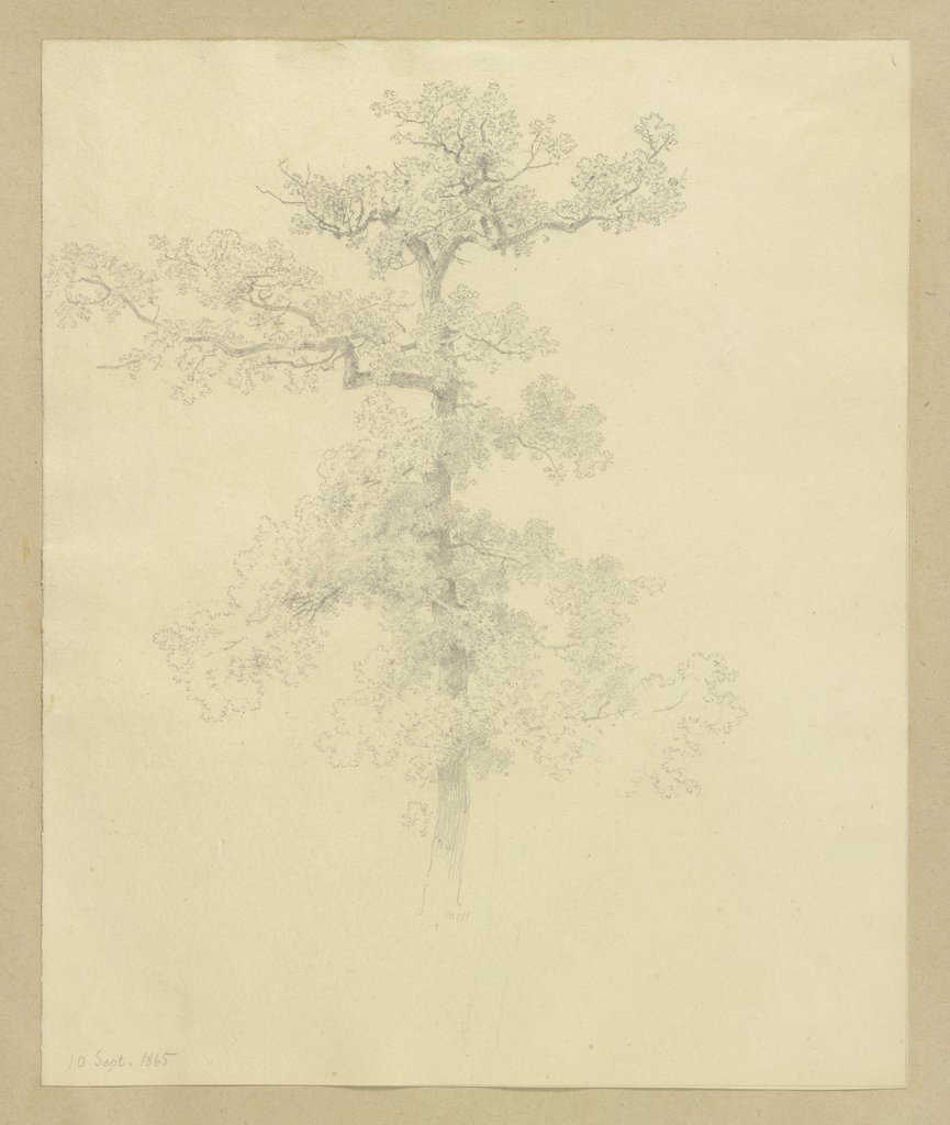 Baum, Carl Theodor Reiffenstein