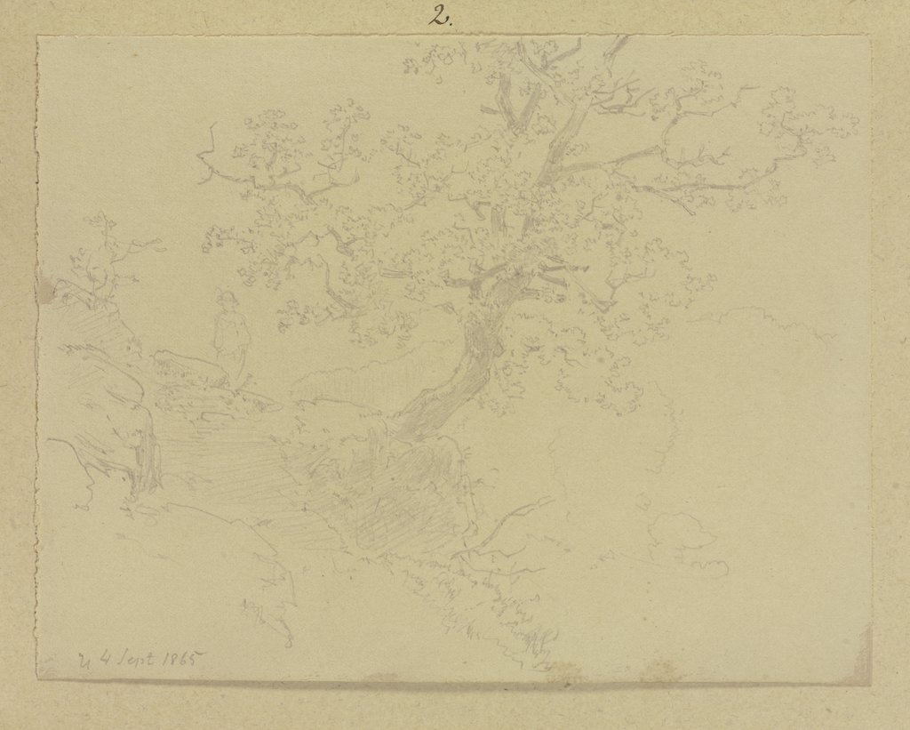 An einem steilen Abhang wachsender Baum, Carl Theodor Reiffenstein