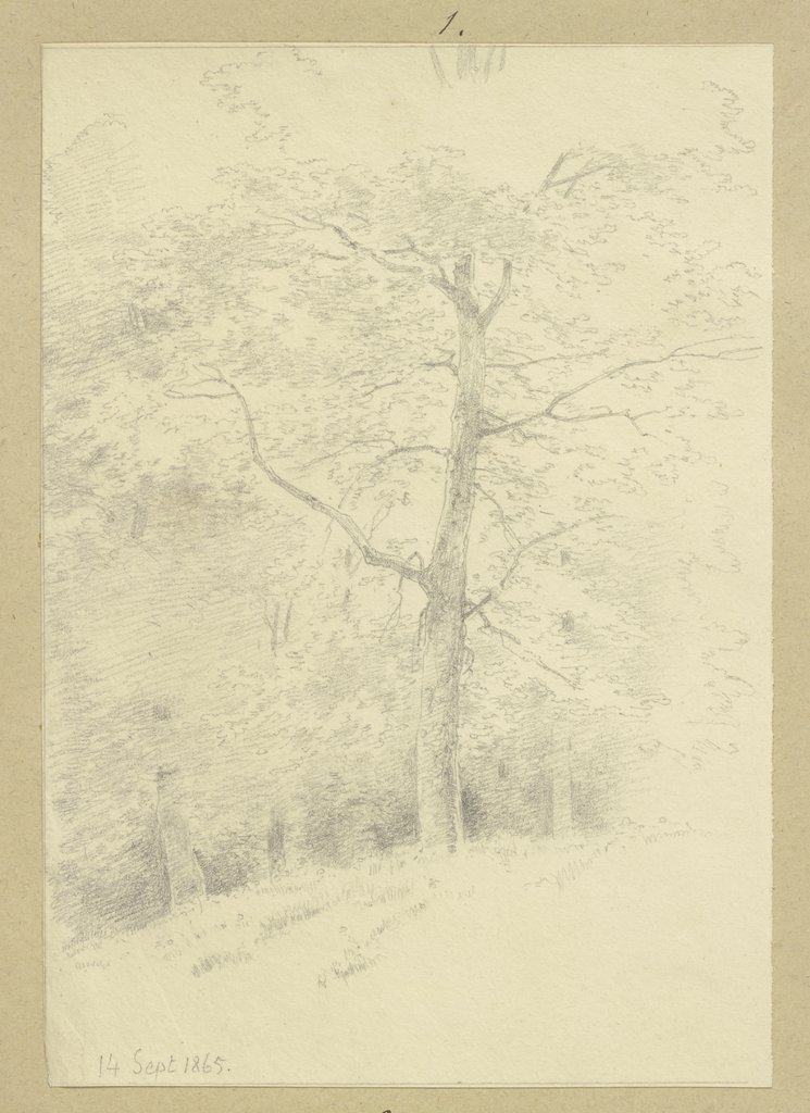 Baum am Waldrand, Carl Theodor Reiffenstein
