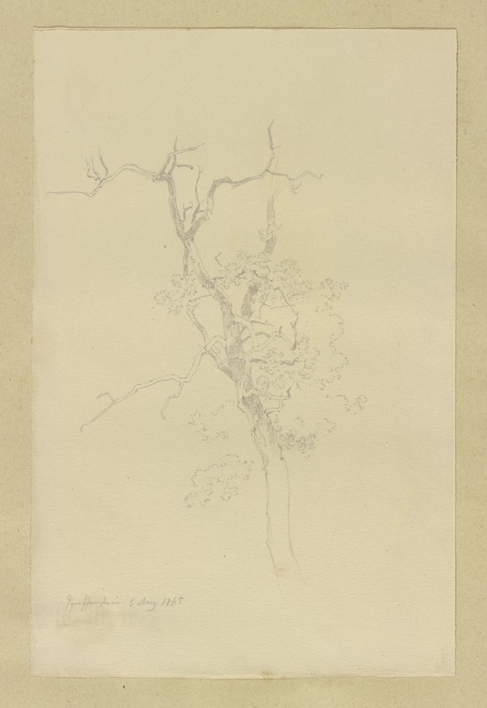 Baum beim Kloster Arnsburg, Carl Theodor Reiffenstein