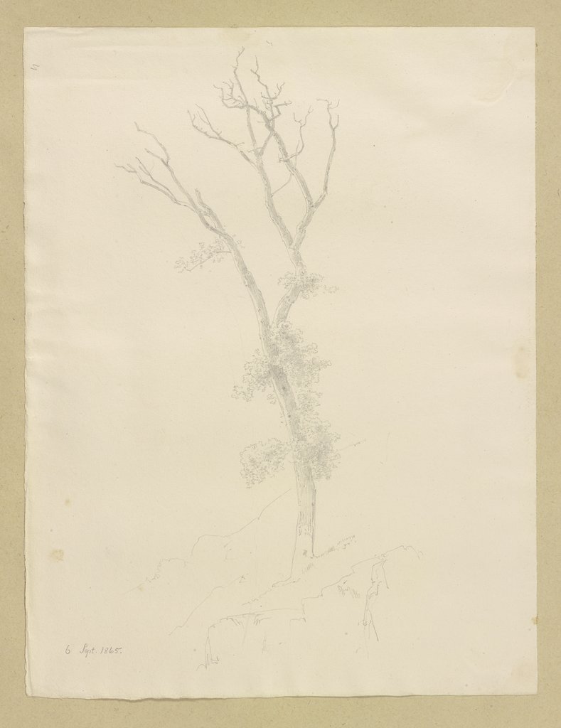 Baum mit abgestorbener Krone, Carl Theodor Reiffenstein