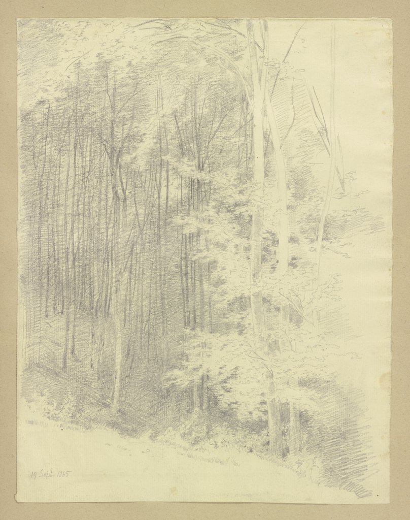 Waldstück, Carl Theodor Reiffenstein