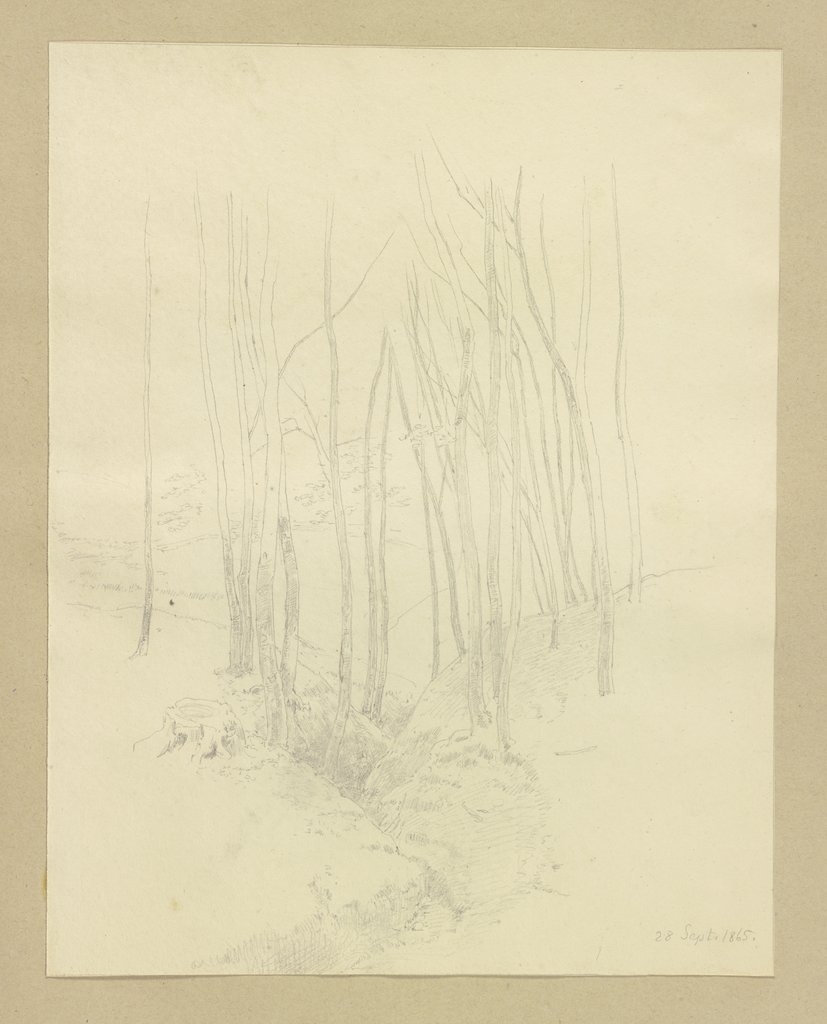 Bach, einen jungen Wald durchfließend, Carl Theodor Reiffenstein