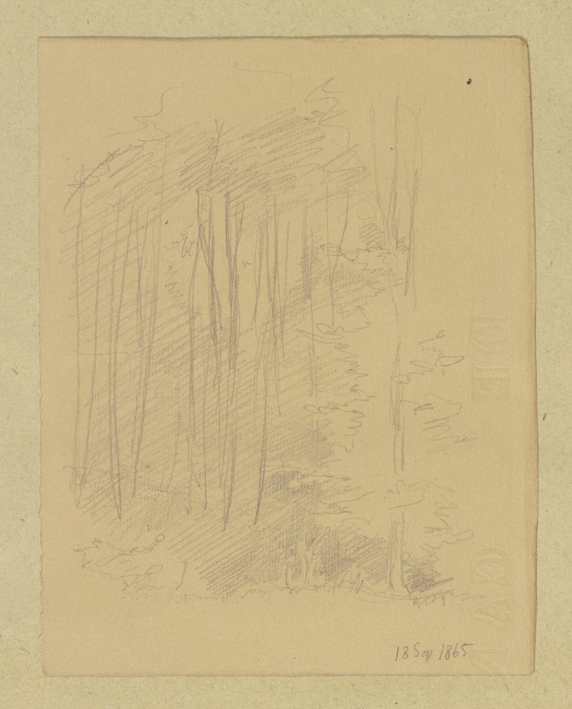Waldstück, Carl Theodor Reiffenstein