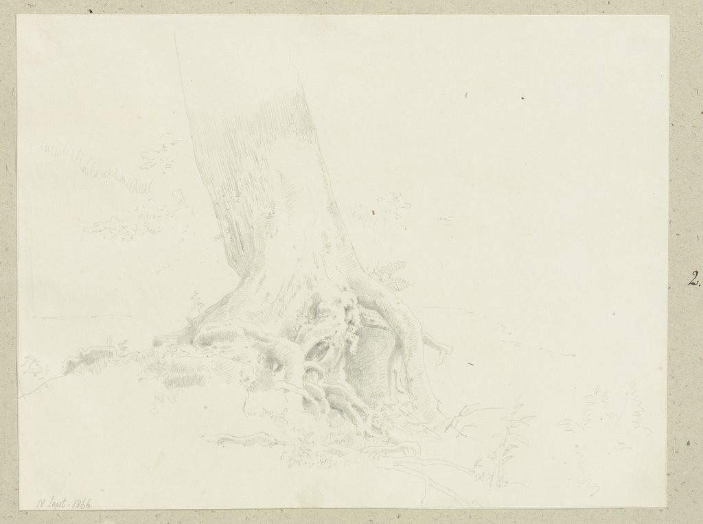 Freiliegendes Wurzelwerk eines Baumes, Carl Theodor Reiffenstein