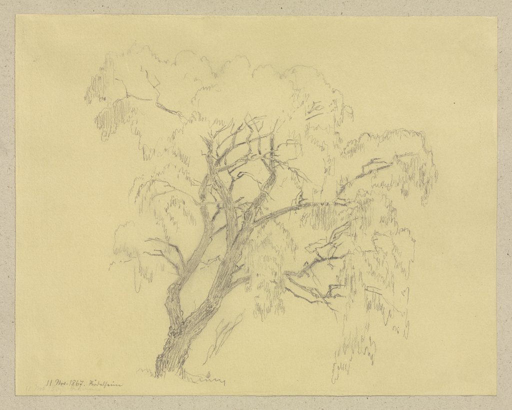 Tree in Rödelheim, Carl Theodor Reiffenstein