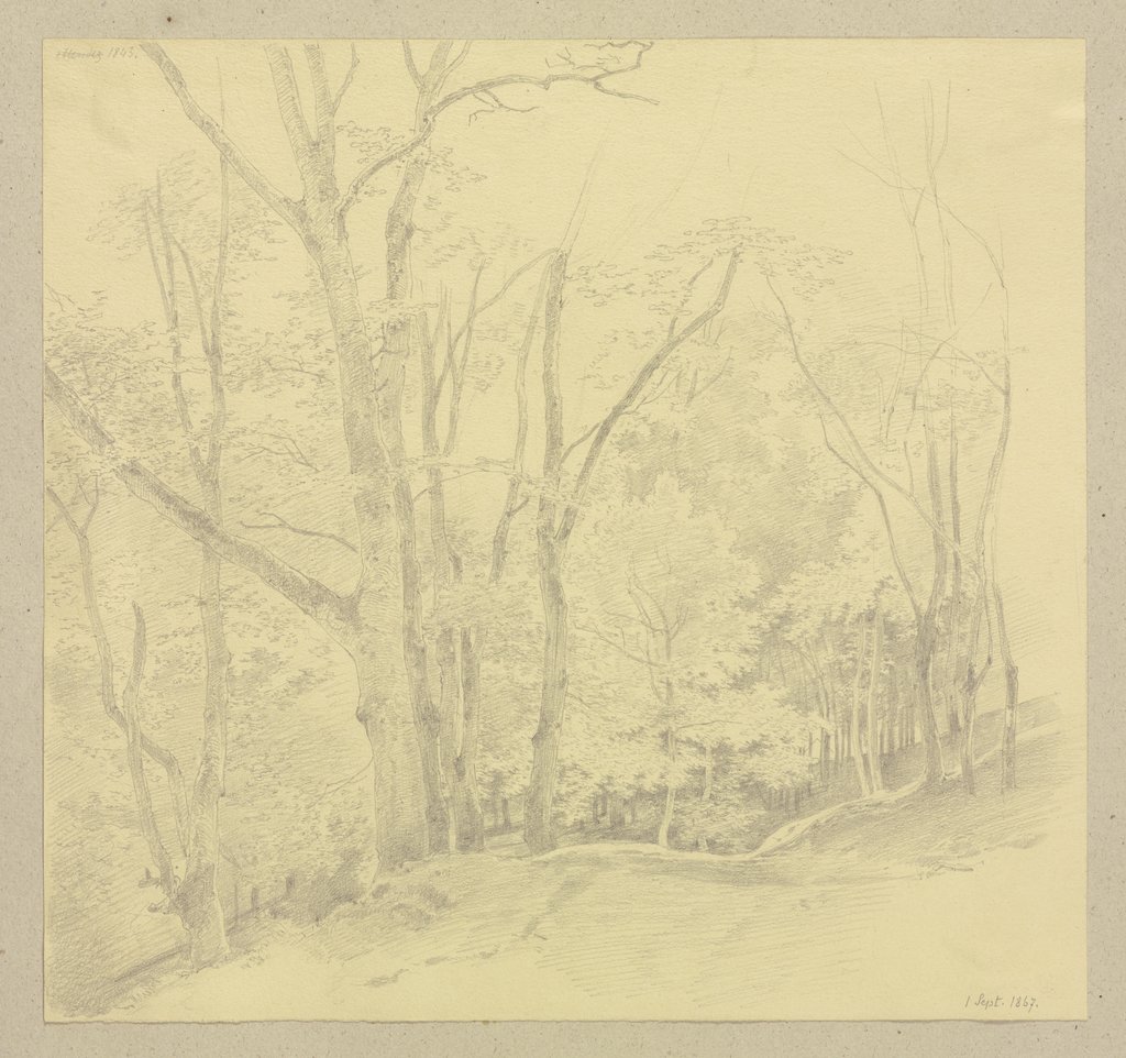 Forest path, Carl Theodor Reiffenstein
