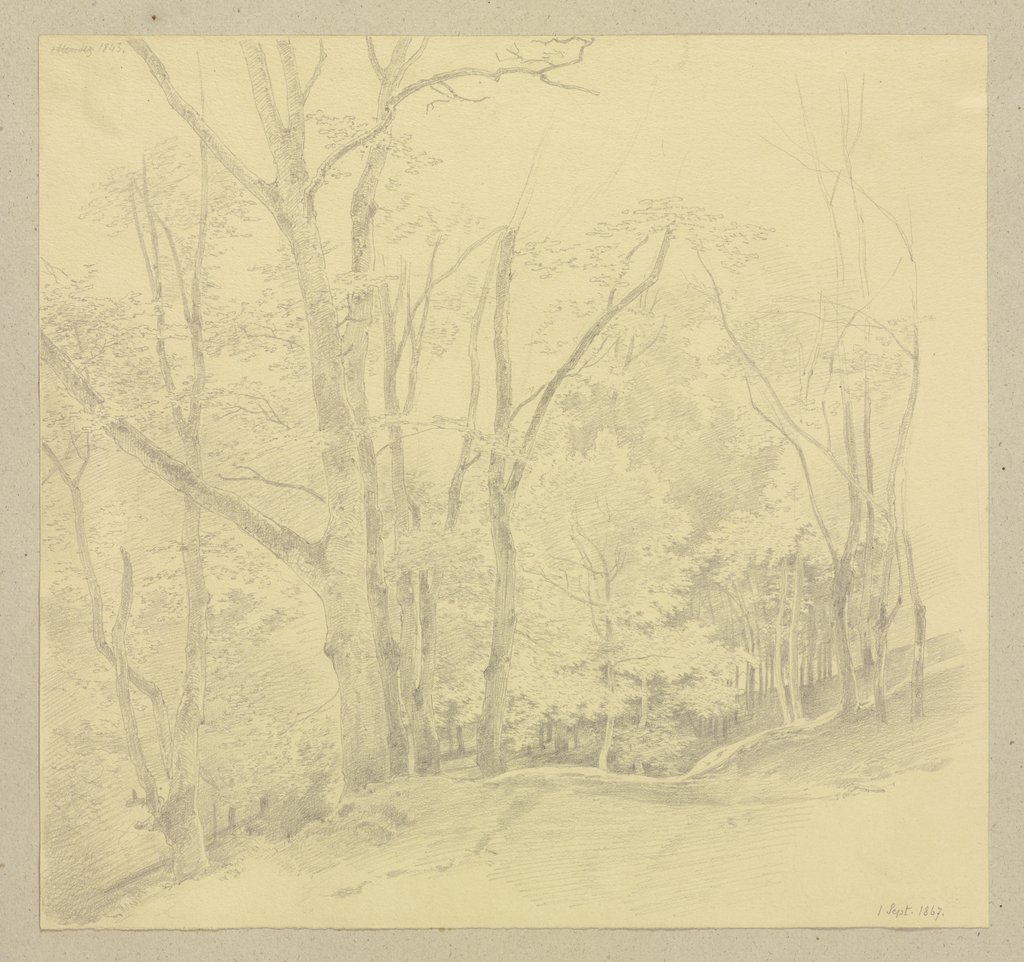 Waldweg, Carl Theodor Reiffenstein