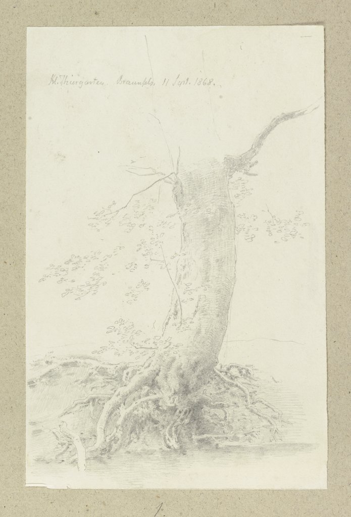 Baum mit freiliegendem Wurzelwerk bei Braunfels, Carl Theodor Reiffenstein