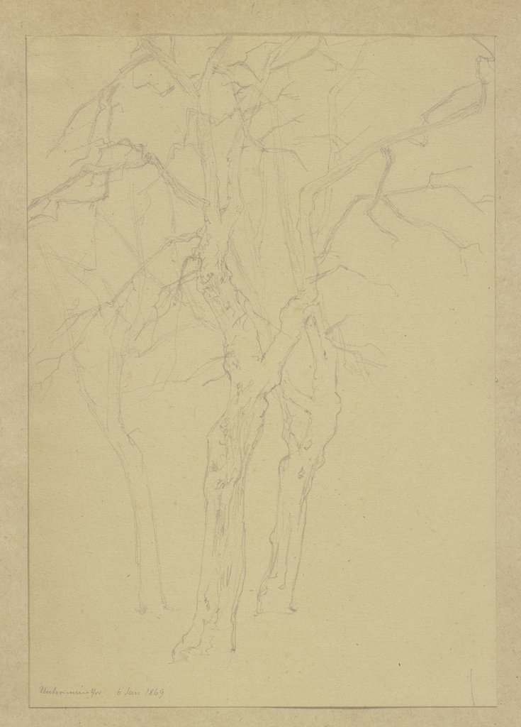 Three leafless trees, Carl Theodor Reiffenstein
