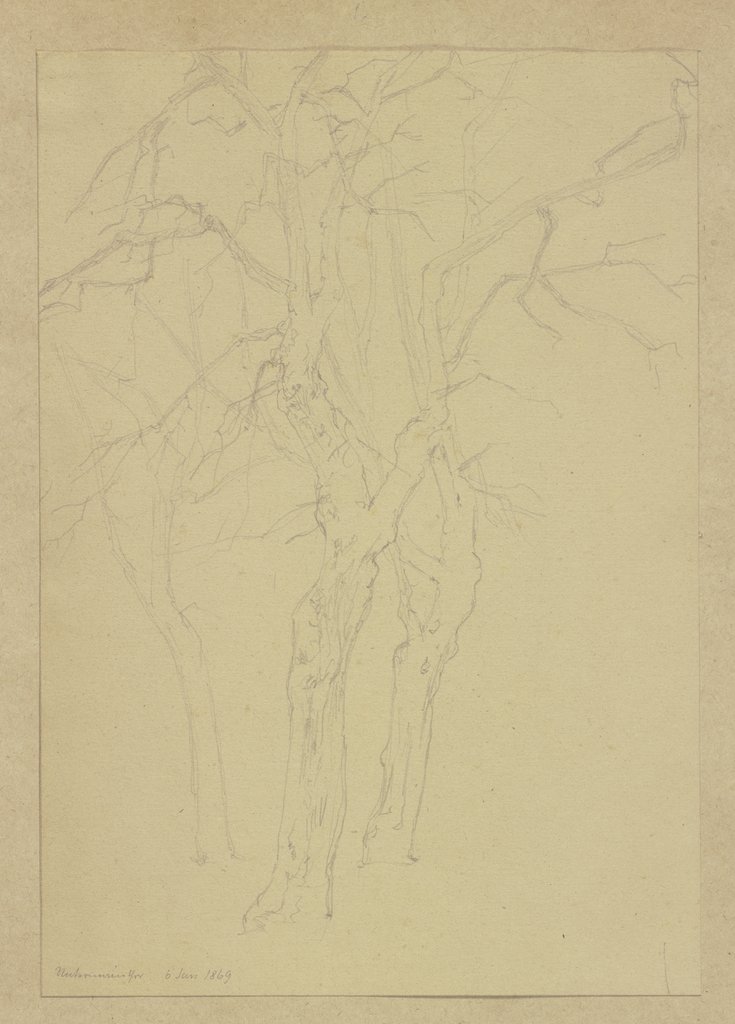 Three leafless trees, Carl Theodor Reiffenstein