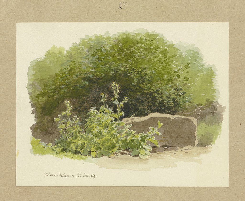 Eine Pflanze neben einem Steinblock, dahinter Sträucher, Carl Theodor Reiffenstein