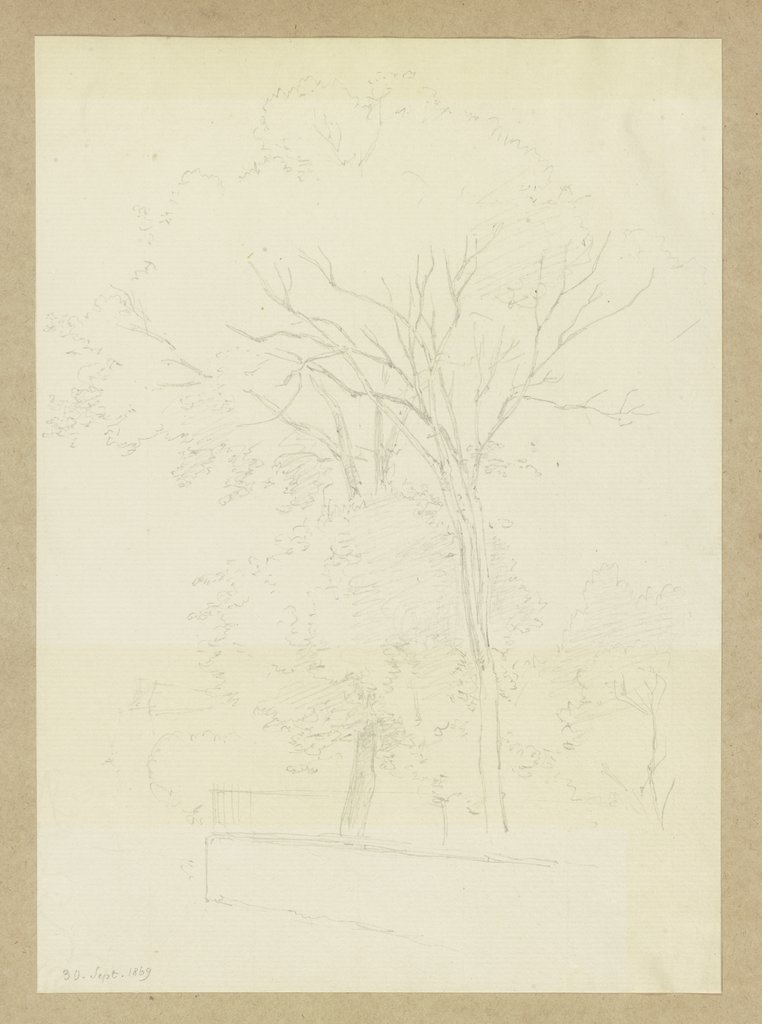 Bäume hinter einer niedrigen Mauer, Carl Theodor Reiffenstein