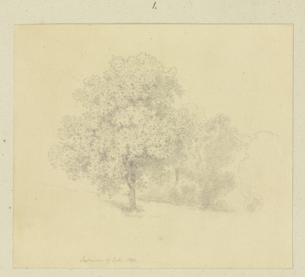 Baum auf einer Wiese bei Seeheim, Carl Theodor Reiffenstein