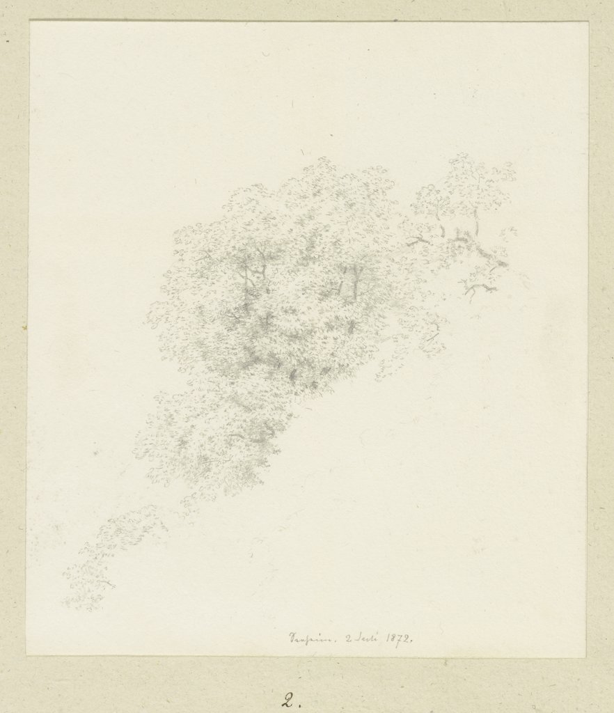 Treetops, Carl Theodor Reiffenstein