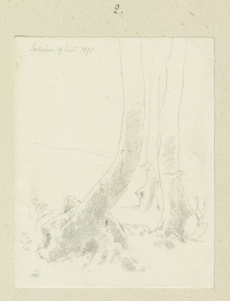 Waldstück bei Seeheim mit verwachsenem Wurzelwerk, Carl Theodor Reiffenstein