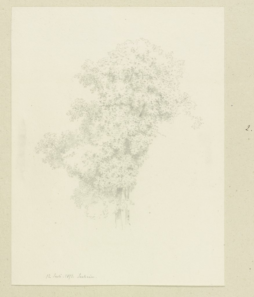 Krone eines Baumes bei Seeheim, Carl Theodor Reiffenstein