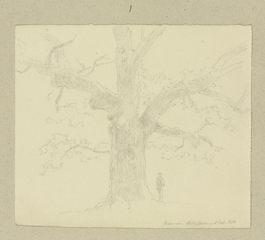 Old tree in Aschaffenburg, Carl Theodor Reiffenstein