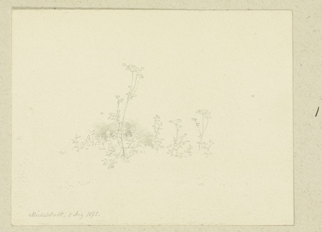 Patch of grass near Michelstadt, Carl Theodor Reiffenstein