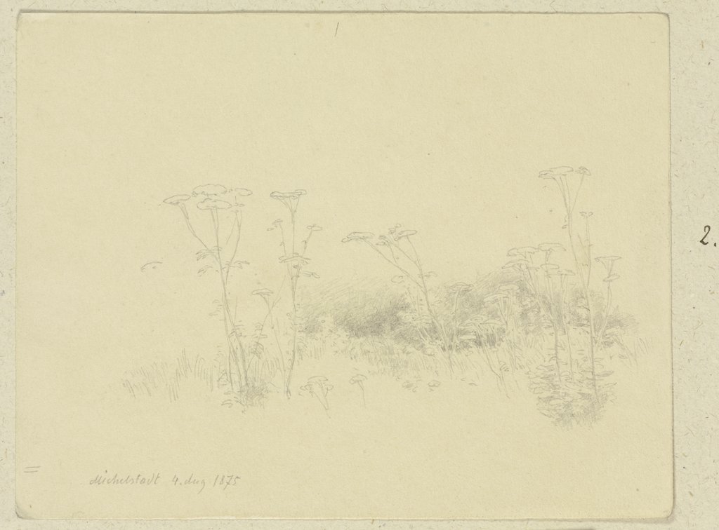 Patch of grass near Michelstadt, Carl Theodor Reiffenstein