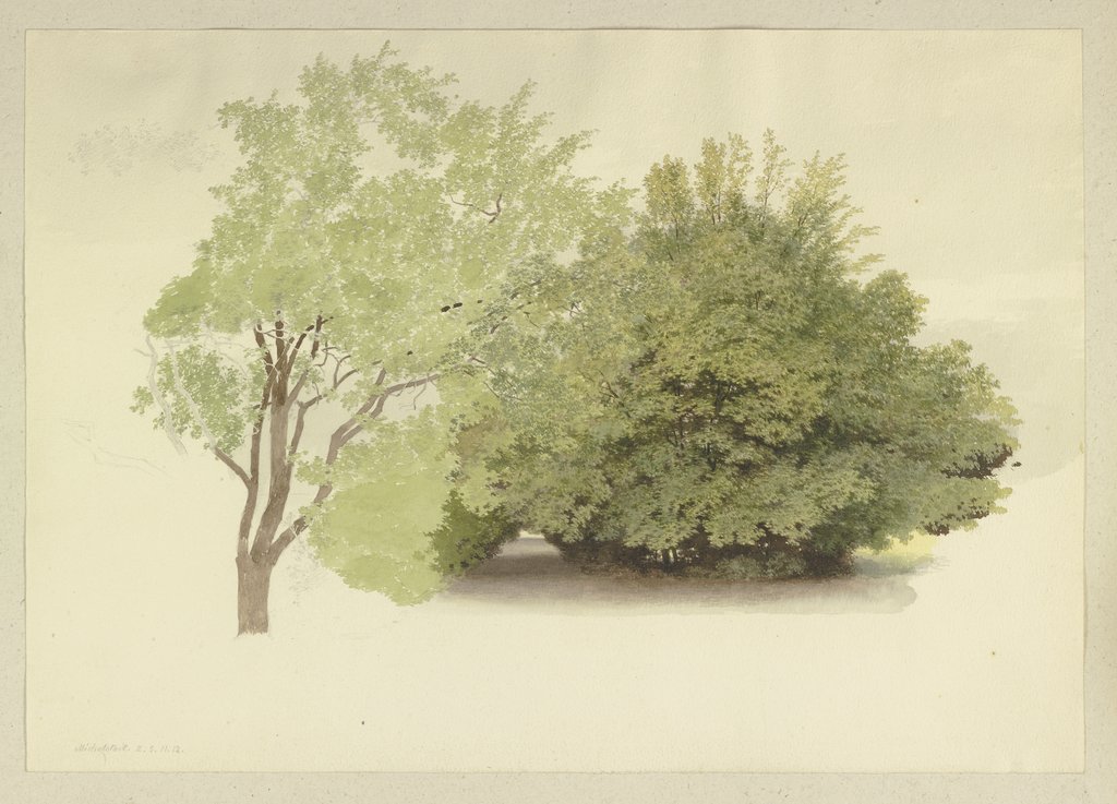 Links ein Baum, rechts hohes Gehölz, Carl Theodor Reiffenstein