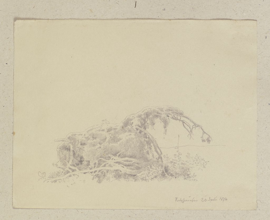 Wurzeln eines umgestürzten Baumes bei Salzhausen, Carl Theodor Reiffenstein