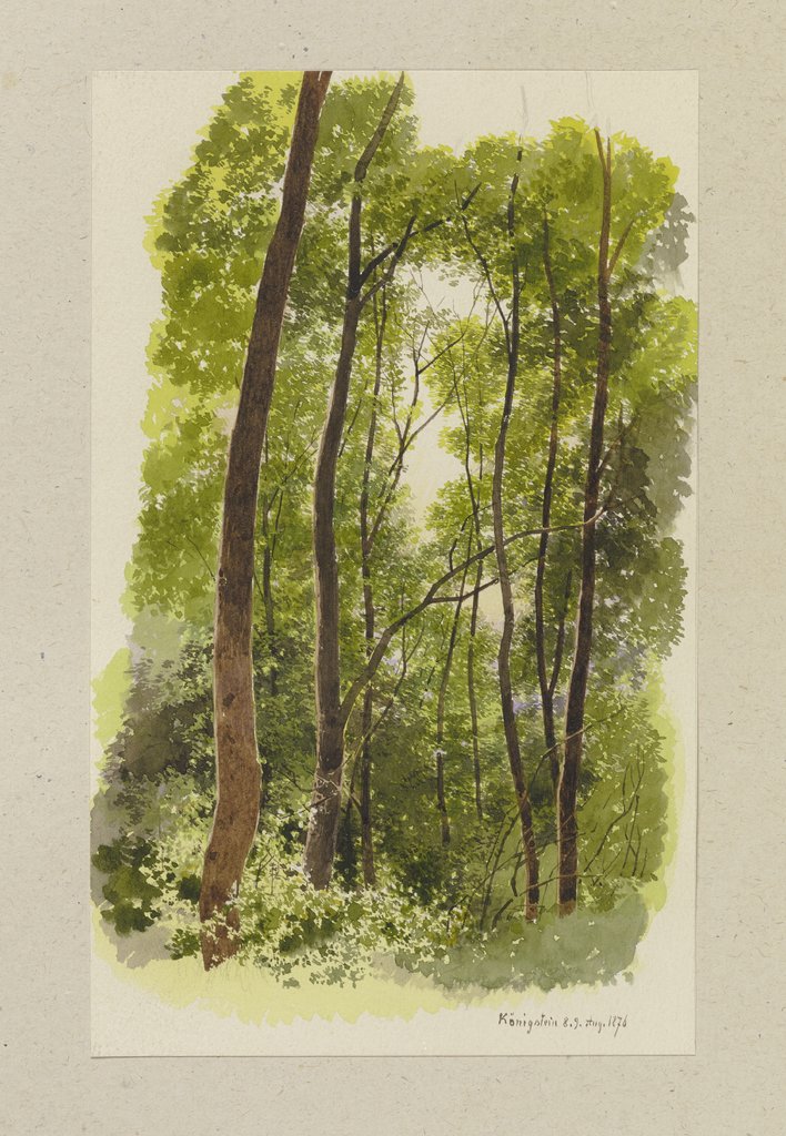 Waldpartie bei Königstein, Carl Theodor Reiffenstein