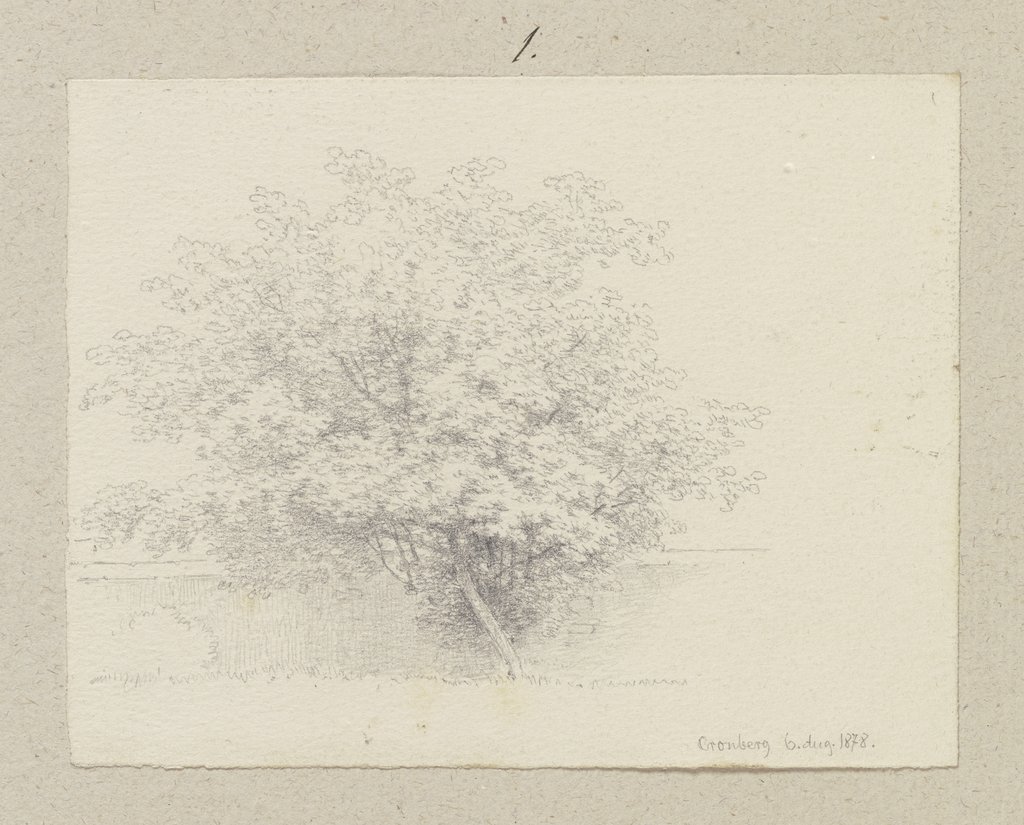 Junger Baum vor einer Mauer, Carl Theodor Reiffenstein