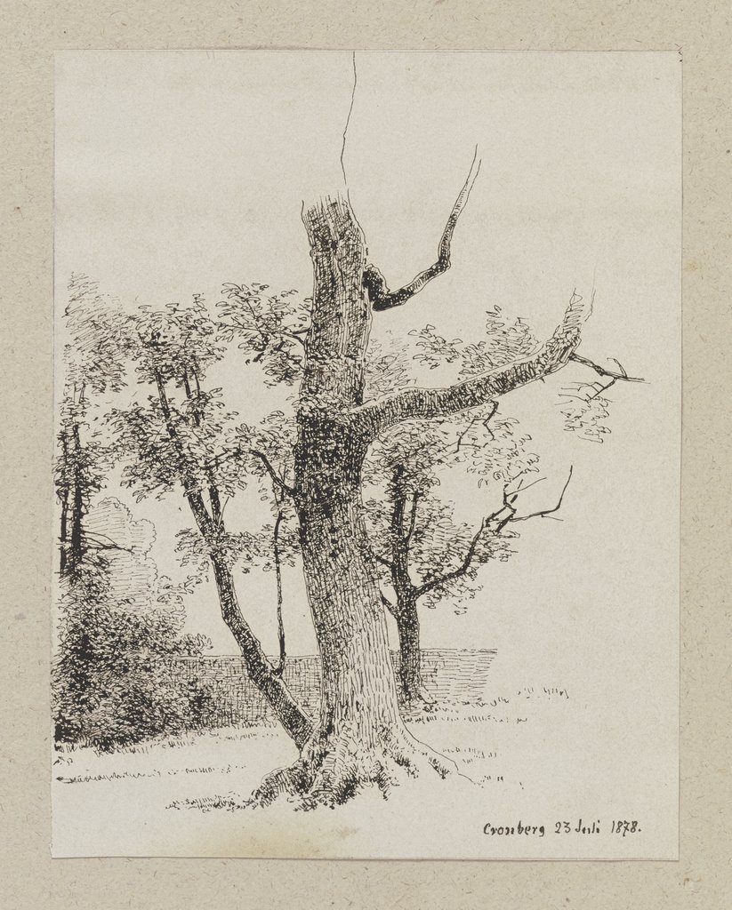 Baum in Kronberg, Carl Theodor Reiffenstein