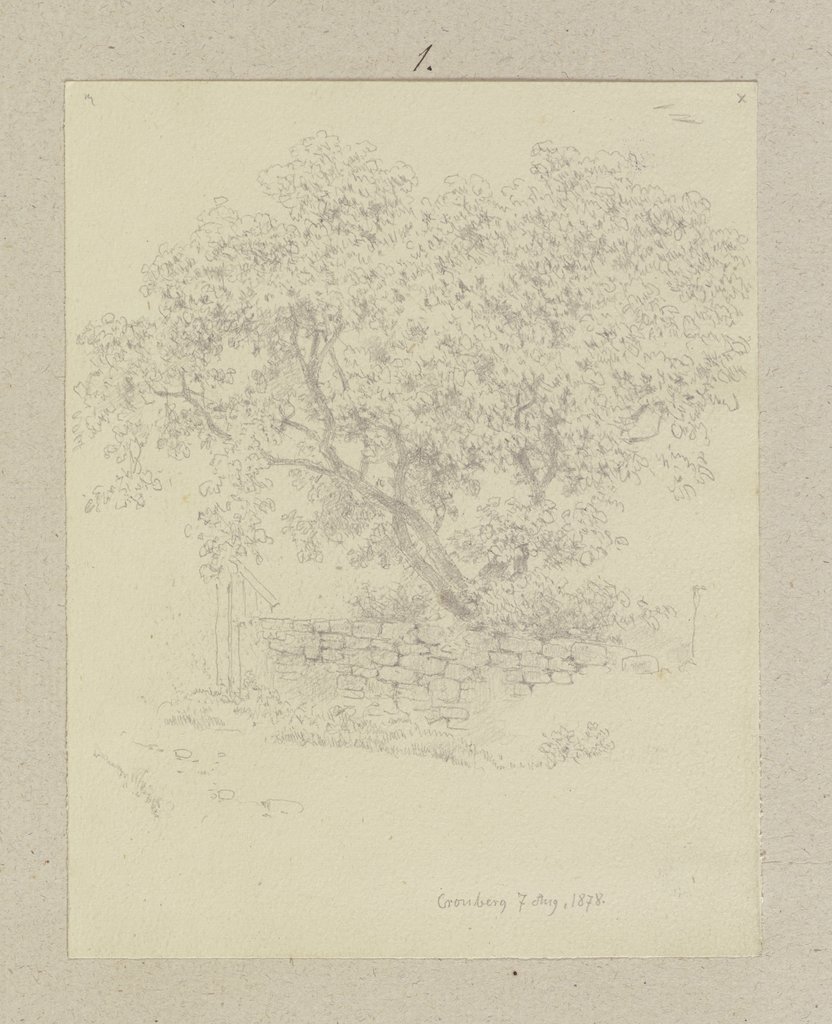 Baum hinter einer Gartenmauer, Carl Theodor Reiffenstein