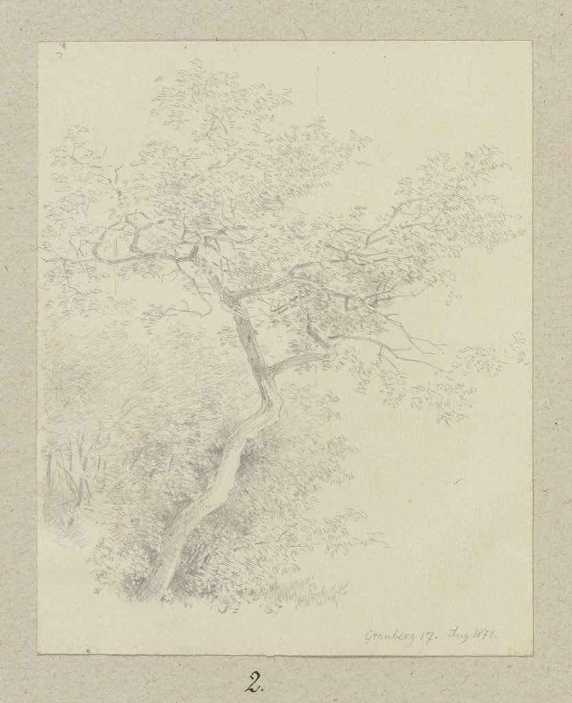 Junger Baum in Kronberg, Carl Theodor Reiffenstein