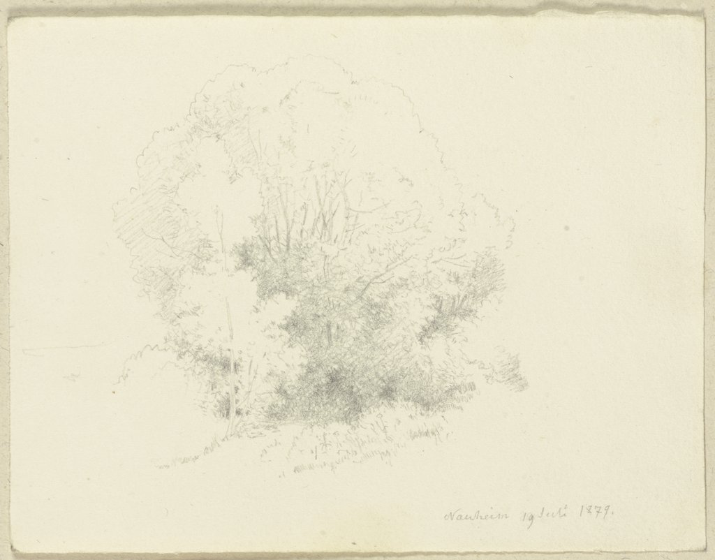 Group of trees near Bad Nauheim, Carl Theodor Reiffenstein