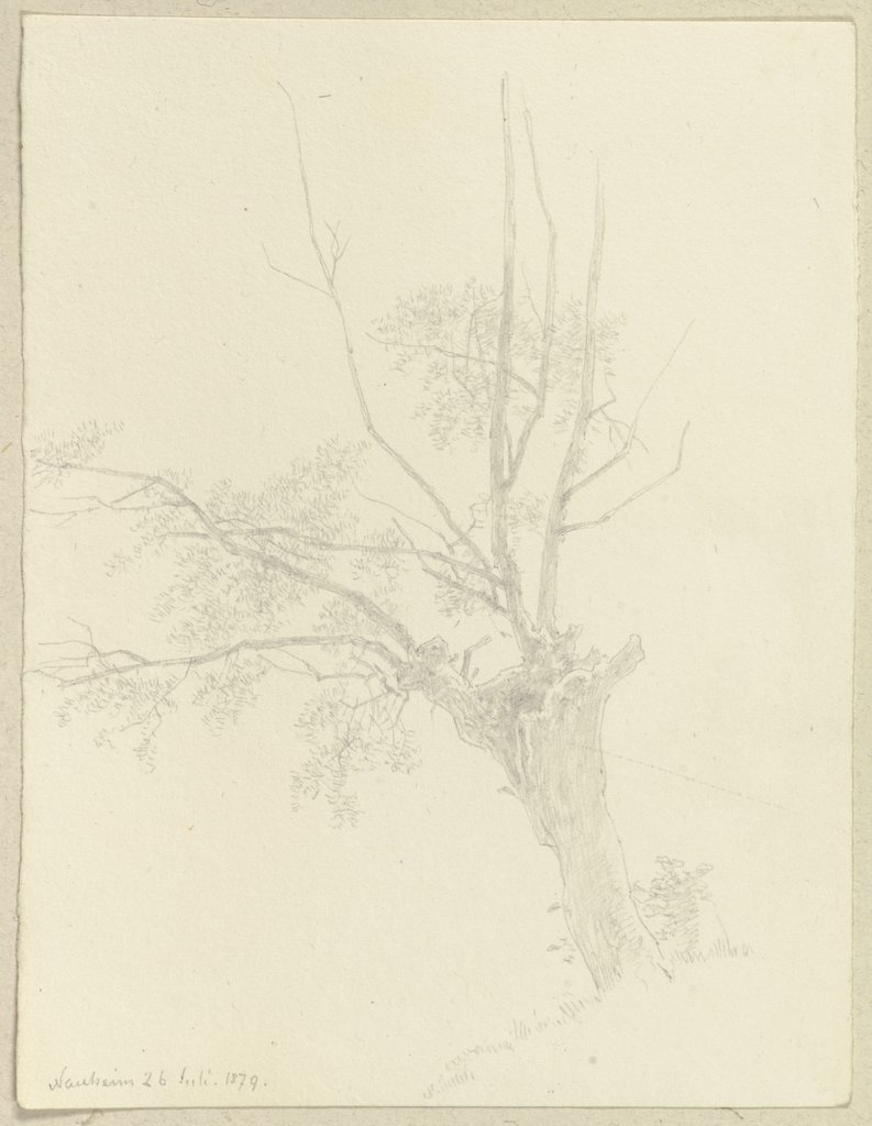 Pollard willow near Bad Nauheim, Carl Theodor Reiffenstein