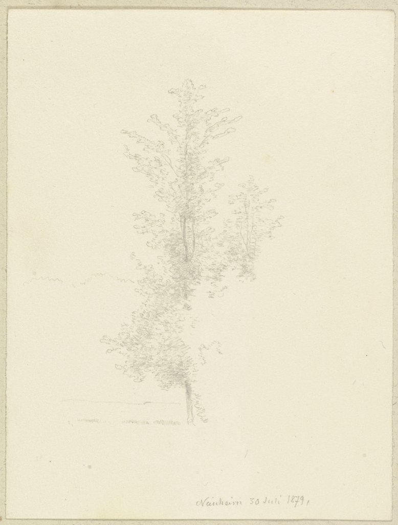 Young tree near Bad Nauheim, Carl Theodor Reiffenstein