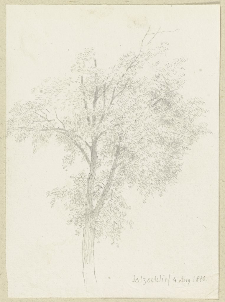 Baum bei Salzschlirf, Carl Theodor Reiffenstein