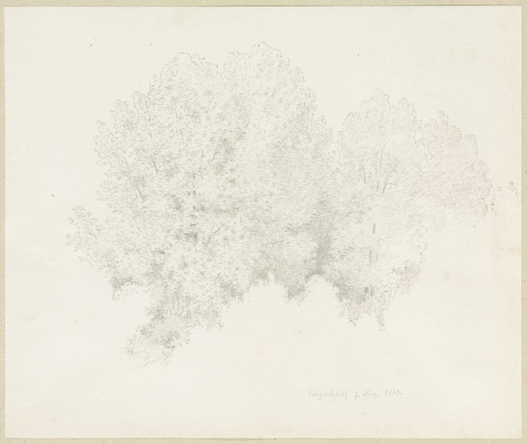 Treetops in Salzschlirf, Carl Theodor Reiffenstein