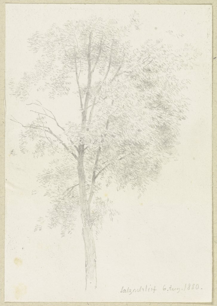 Baum in Salzschlirf, Carl Theodor Reiffenstein