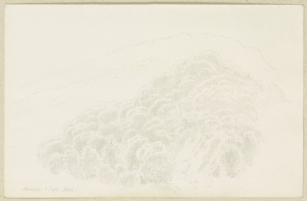 Wooded slope near Nassau, Carl Theodor Reiffenstein