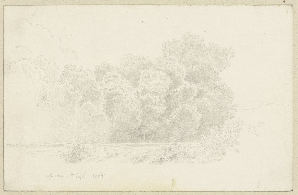 Edge of a forest near Nassau, Carl Theodor Reiffenstein