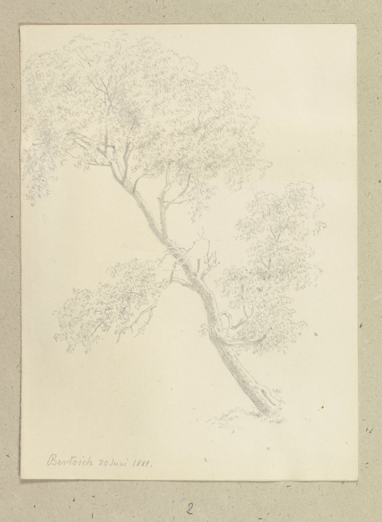Schief gewachsener Baum in Bertrich, Carl Theodor Reiffenstein