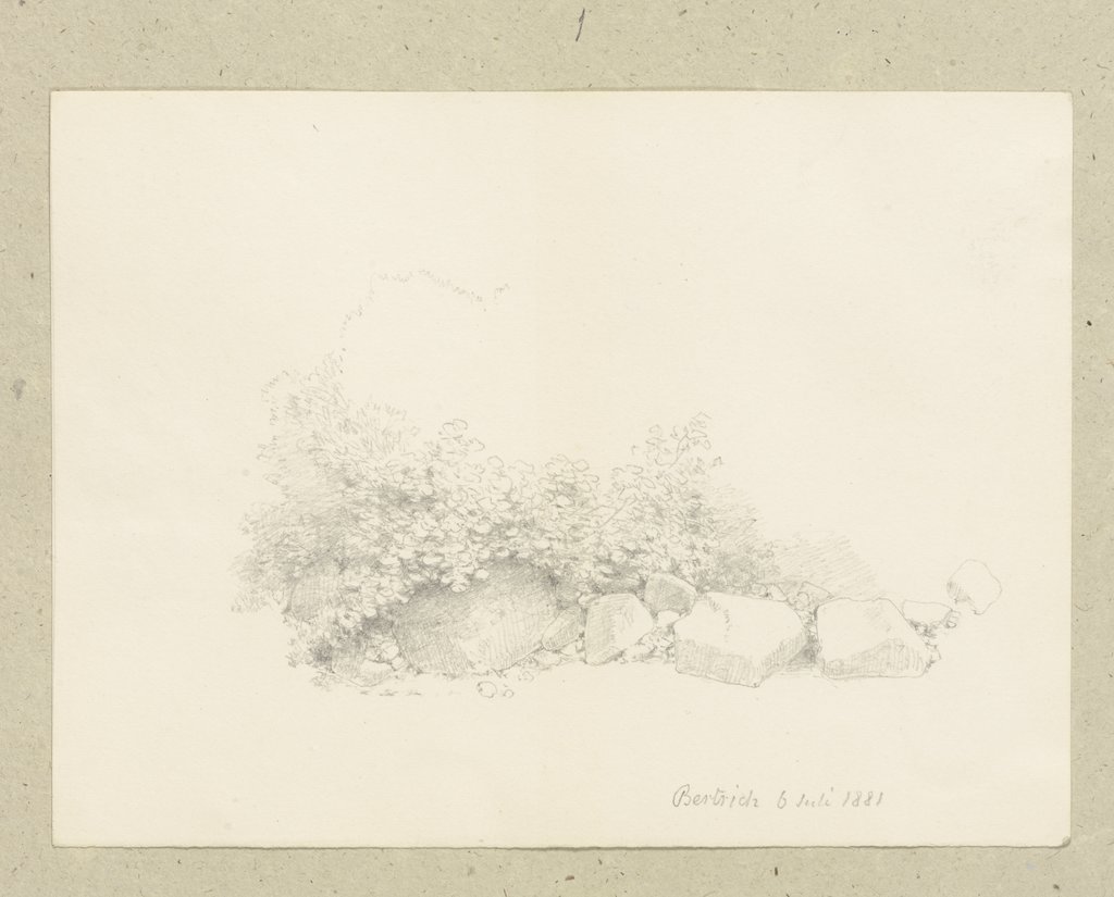 Bodenstück mit Steinen, Carl Theodor Reiffenstein