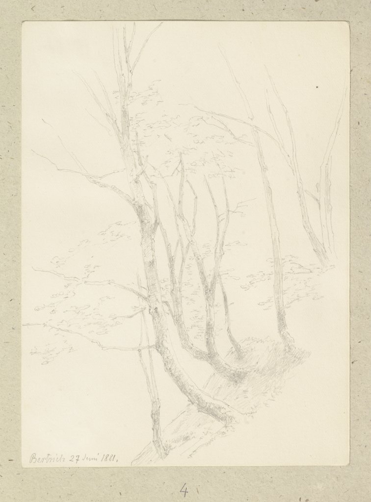 Bäume an einem Steilhang, Carl Theodor Reiffenstein