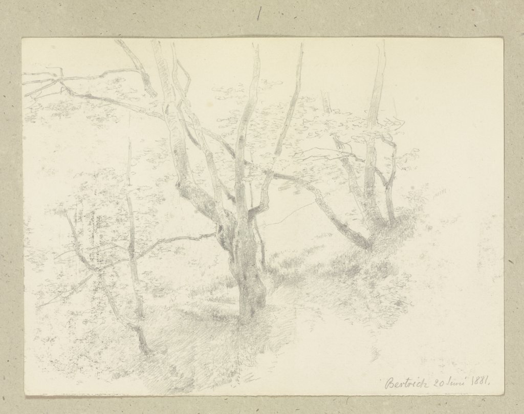 Waldweg bei Bertrich, Carl Theodor Reiffenstein