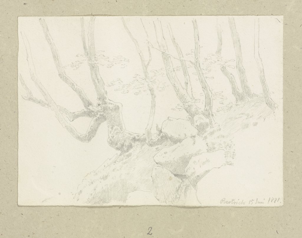 Bäume umgeben von Felsbrocken am Hang bei Bertrich, Carl Theodor Reiffenstein